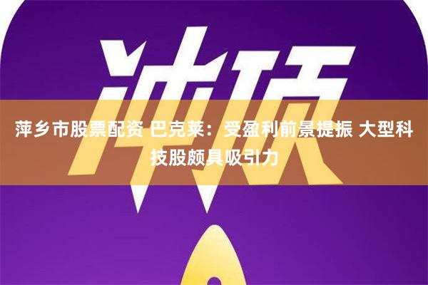 萍乡市股票配资 巴克莱：受盈利前景提振 大型科技股颇具吸引力