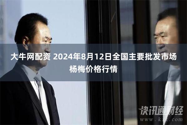 大牛网配资 2024年8月12日全国主要批发市场杨梅价格行情