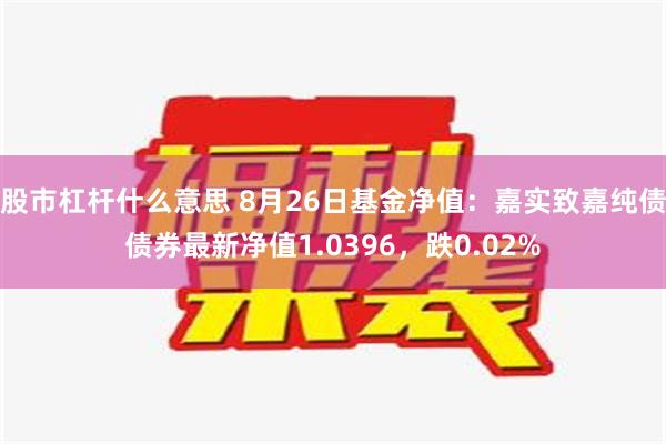 股市杠杆什么意思 8月26日基金净值：嘉实致嘉纯债债券最新净值1.0396，跌0.02%