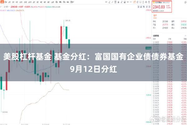 美股杠杆基金 基金分红：富国国有企业债债券基金9月12日分红