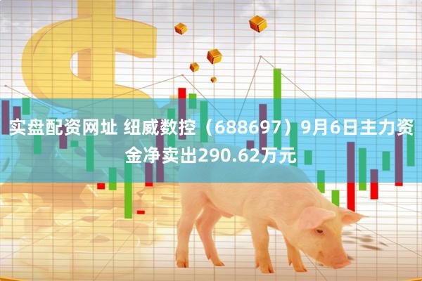 实盘配资网址 纽威数控（688697）9月6日主力资金净卖出290.62万元