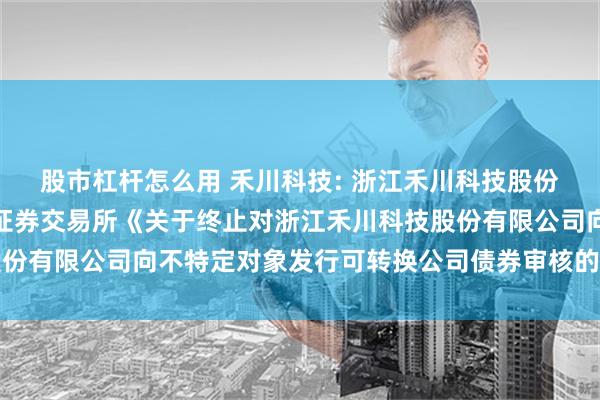 股市杠杆怎么用 禾川科技: 浙江禾川科技股份有限公司关于收到上海证券交易所《关于终止对浙江禾川科技股份有限公司向不特定对象发行可转换公司债券审核的决定》的公告