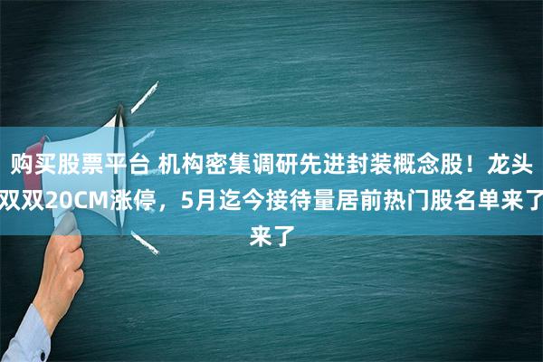 购买股票平台 机构密集调研先进封装概念股！龙头双双20CM涨停，5月迄今接待量居前热门股名单来了